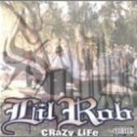 Crazy Life cover