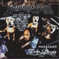No Limit Top Dogg cover