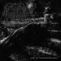 Veil Of Remembrance cover