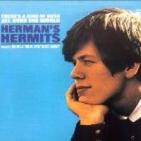 There's A Kind Of Hush All Over The World cover