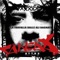 La Farfalla Dalle Ali Bagnate cover