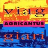 Viaggiari cover