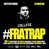 Fratrap cover