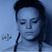 Wallis Bird cover