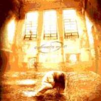 Fragments Of D-generation cover