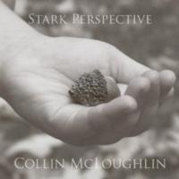 Stark Perspective cover