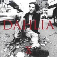 Dahlia cover