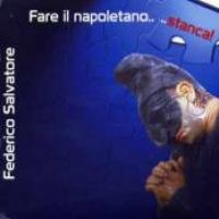 Fare Il Napoletano Stanca cover
