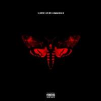 I Am Not a Human Being II cover