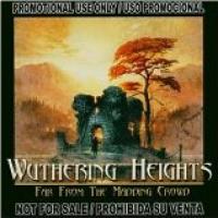 Far From The Madding Crowd cover