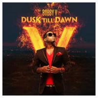 Dusk Till Dawn cover