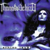 Schizo Level cover