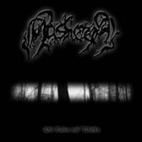 Mit Raben Und Wölfen cover