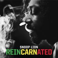 Reincarnated cover