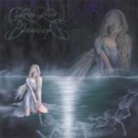 Behold My Vain Sacrifice cover