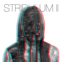 Stridulum II cover