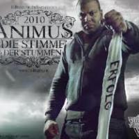 Die Stimme Der Stummen cover