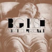 Niente Di Personale cover