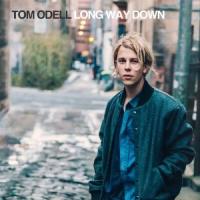 Long Way Down cover