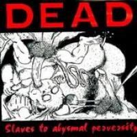 Slaves To Abysmal Perversity cover