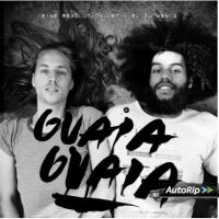 Eine Revolution Ist Viel Zu Wenig cover