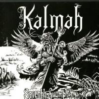 Seventh Swamphony cover