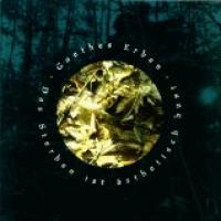 Das Sterben Ist ästhetisch Bunt cover