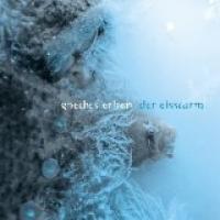 Der Eissturm cover