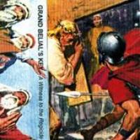 A Witness To The Regicide cover