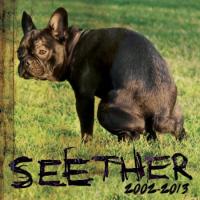 Seether: 2002-2013 cover