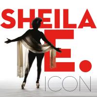 Icon cover