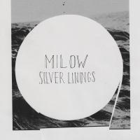 Silver Linings cover