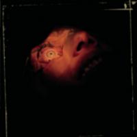 Anatomy Is Destiny cover