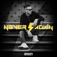 Never Again cover