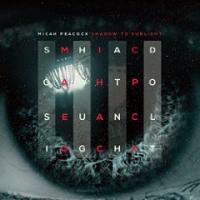 Shadow To Sunlight cover