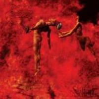 The Sullen Sulcus cover
