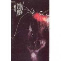 Towards The Sinister cover