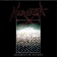 Fragments Of Insanity cover