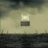 'n Crugu Bradului cover