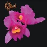 Orchid cover
