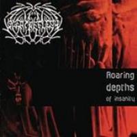 Roaring Depths Of Insanity cover