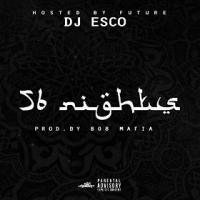 56 Nights cover