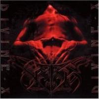 Divine X cover
