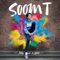 Free As A Bird cover