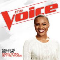 Autres Chansons cover