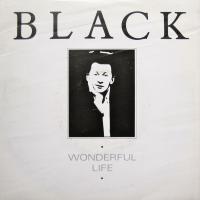 Wonderful Life cover