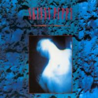 Mind: The Perpetual Intercourse cover