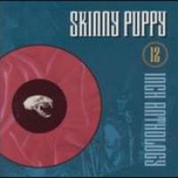 Twelve Inch Anthology cover