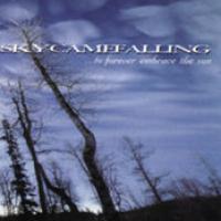 To Forever Embrace The Sun cover