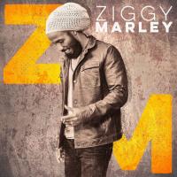 Ziggy Marley cover
